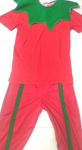 Kids Costumes to Hire - Elf 14 Years